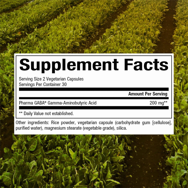 Close-up view of PharmaGABA® Rapid-Release Vegetarian Capsules
