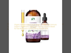 Giọt nước gốc Echinacea hữu cơ - bổ sung hỗ trợ miễn dịch không cồn 680mg mỗi khẩu phần dựa trên glycerin để hấp thụ nhanh OEM/ODM bởi Prosafe Nutri